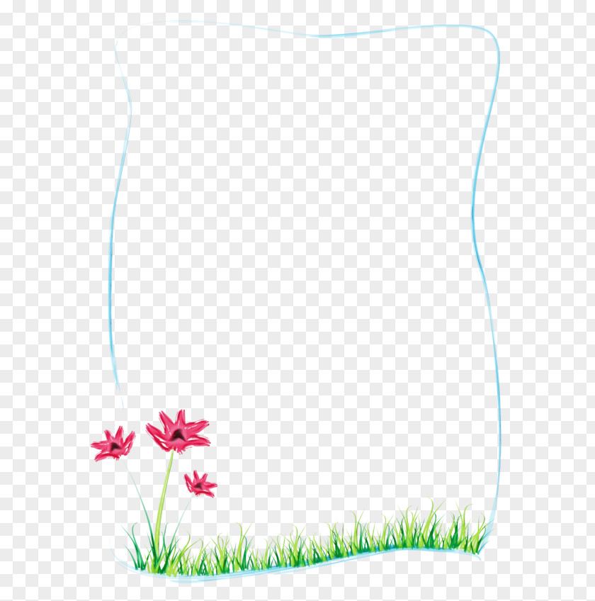 Wildflower Flower Grass Plant Rectangle PNG