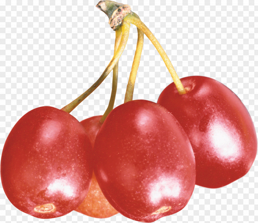 Cherry Lingonberry Food Fruit PNG