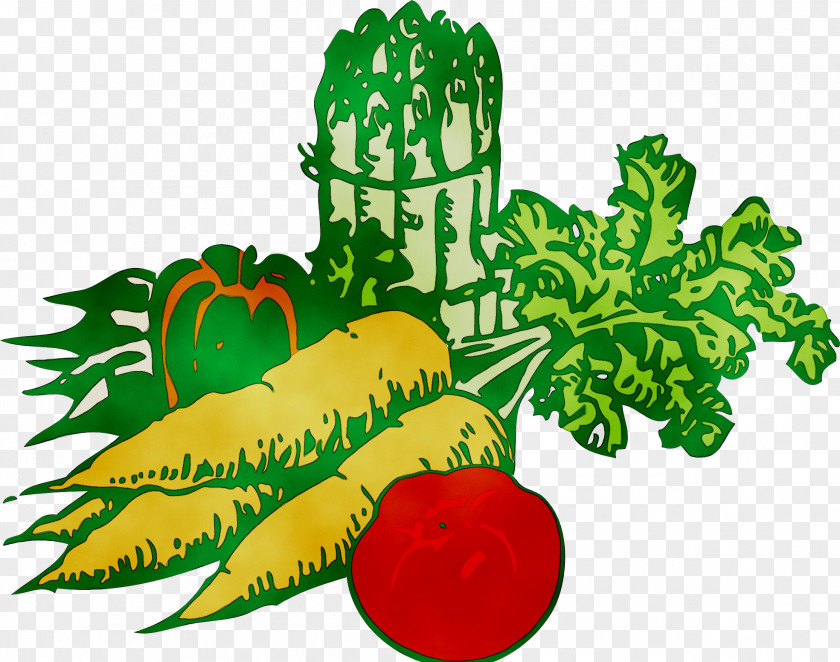 Clip Art Vegetable Openclipart Free Content PNG