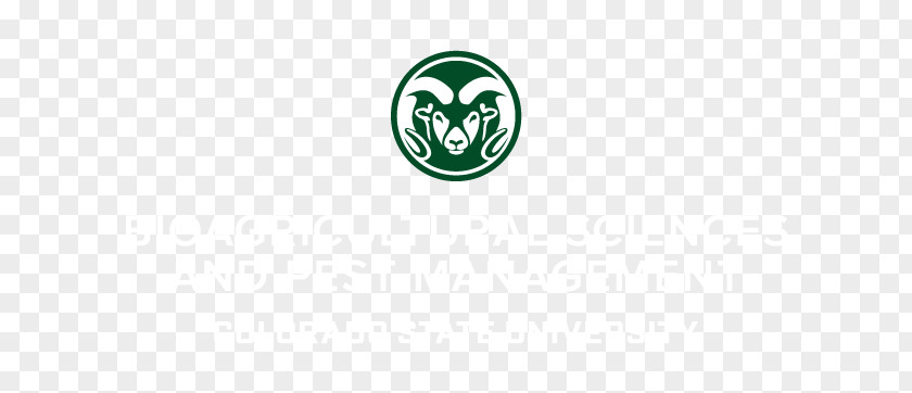 Crop Colorado State University Logo Navel Green Rams PNG