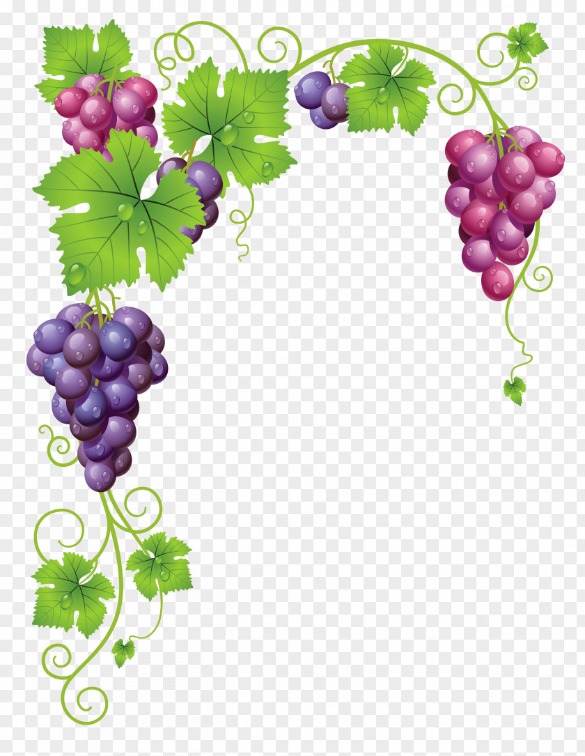 Olive Wreath Common Grape Vine Wine Clip Art PNG