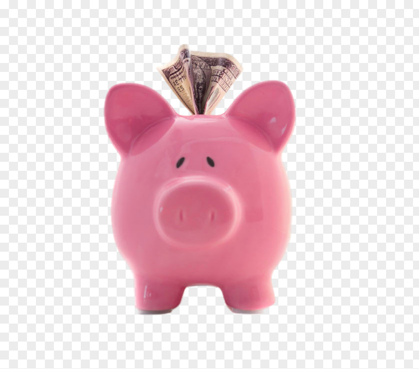 Pig Piggy Bank Domestic Pink Money PNG