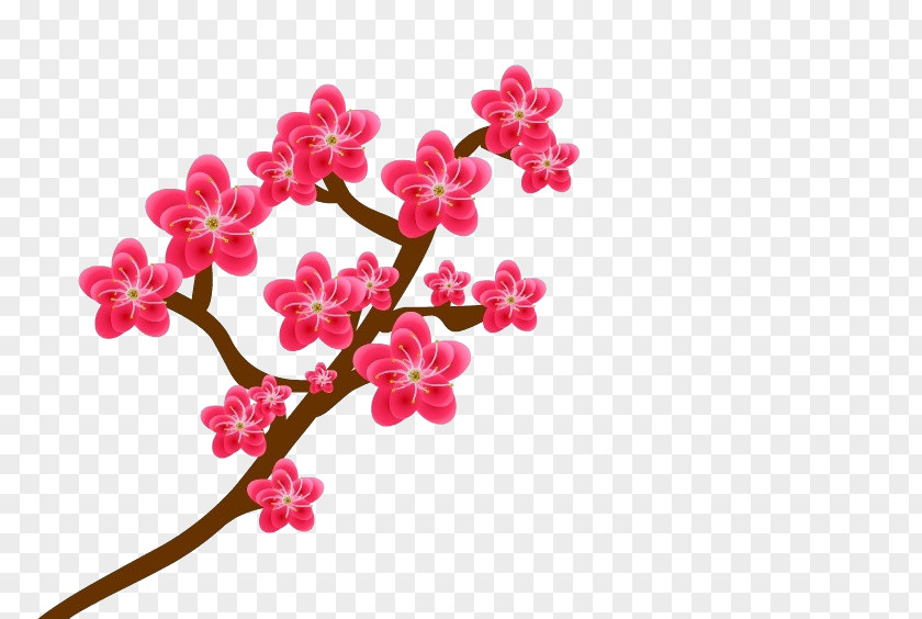 Plum Vector Blossom PNG