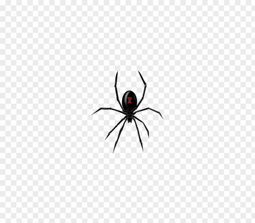Spiders Cliparts Widow Insect Friday The 13th T-shirt PNG