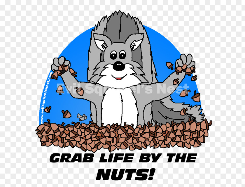 Squirrel Nest Dog Clip Art Cartoon Illustration PNG