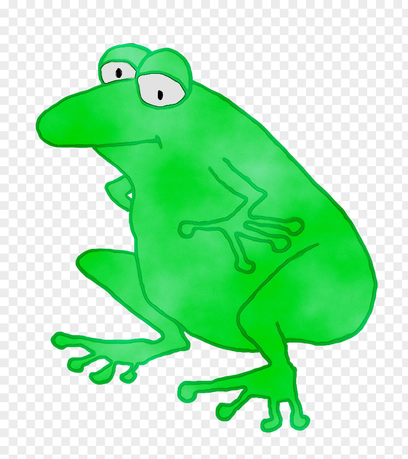 True Frog Amphibians Tree Clip Art PNG