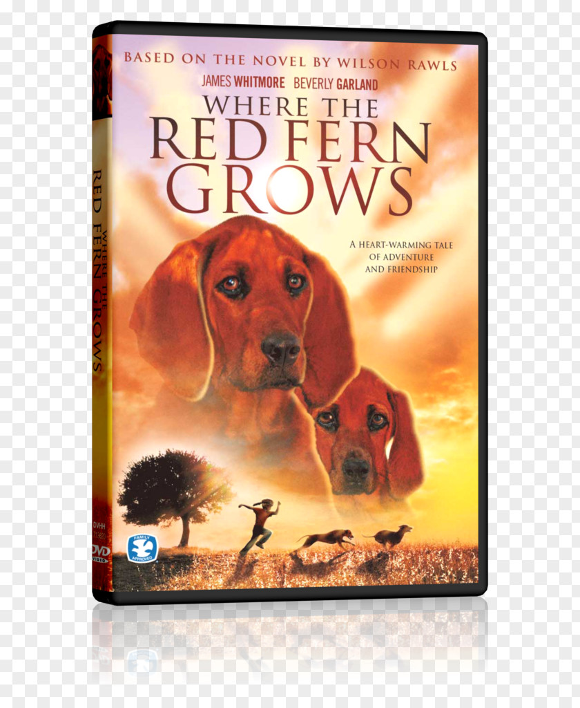 Where The Red Fern Grows Book Novel Children's Literature PNG