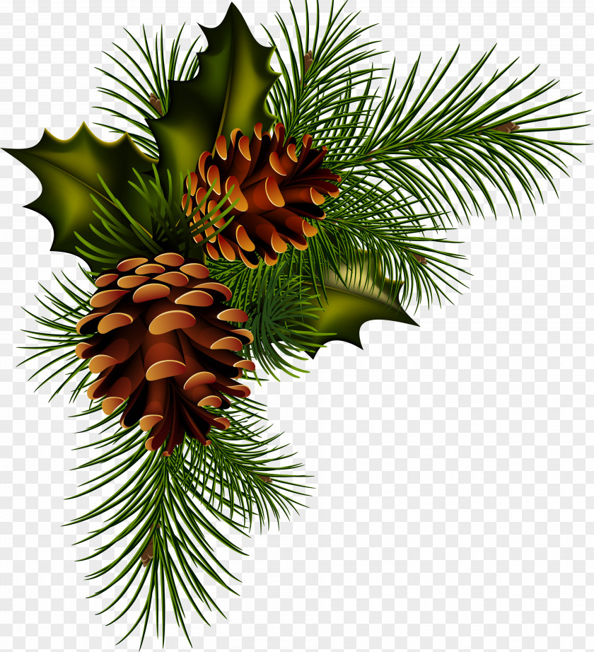 Artichokes Conifer Cone Pine Christmas Clip Art PNG