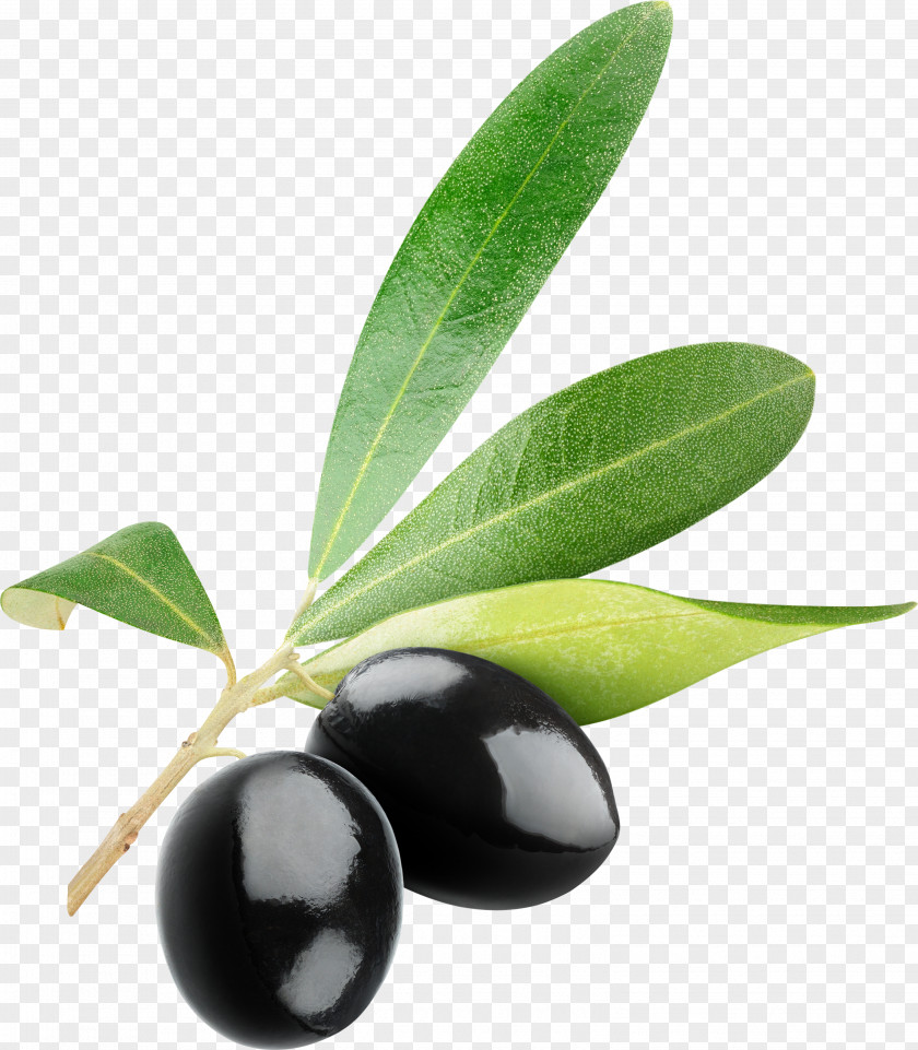 Black Olives Olive Icon Clip Art PNG
