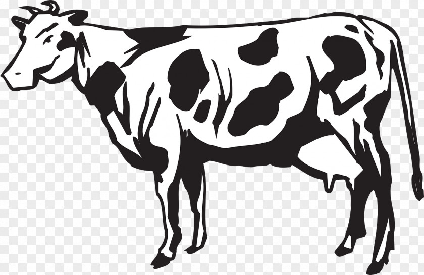Cow Dairy Cattle Calf Herd Clip Art PNG