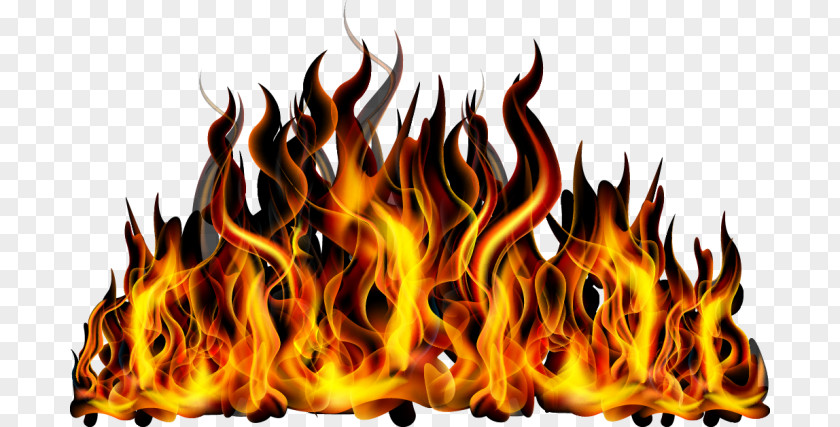 Heat Combustion Flame Cartoon PNG