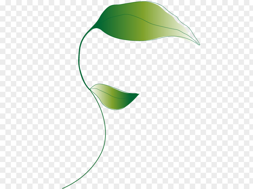 Leaf Green Clip Art PNG