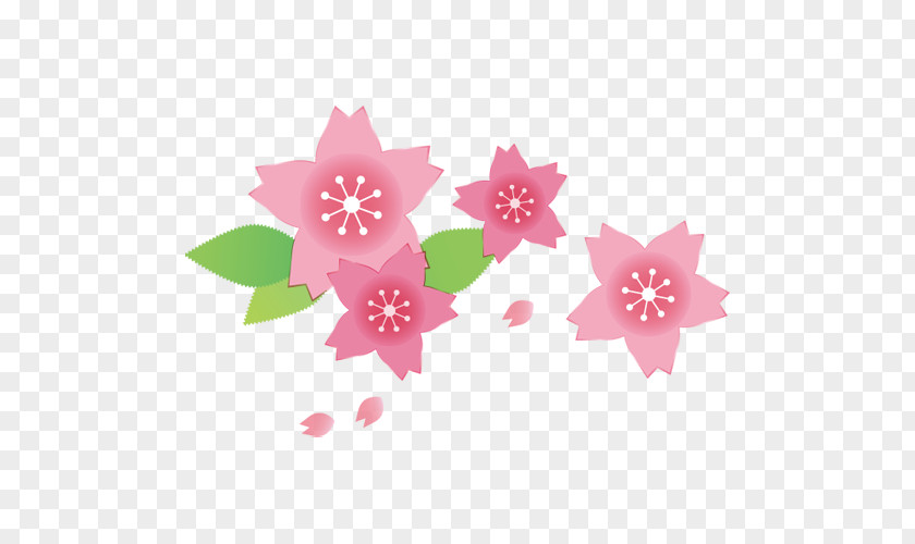 Sablon Cherry Blossom Illustration Pink Spring Japan PNG