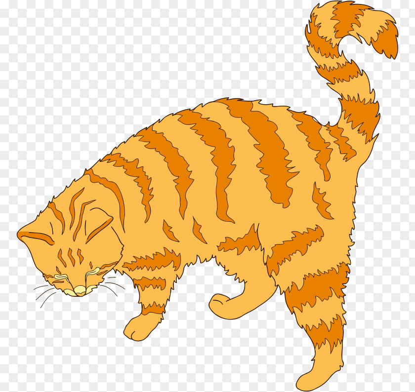 Cat Whiskers Tabby Wildcat Clip Art PNG