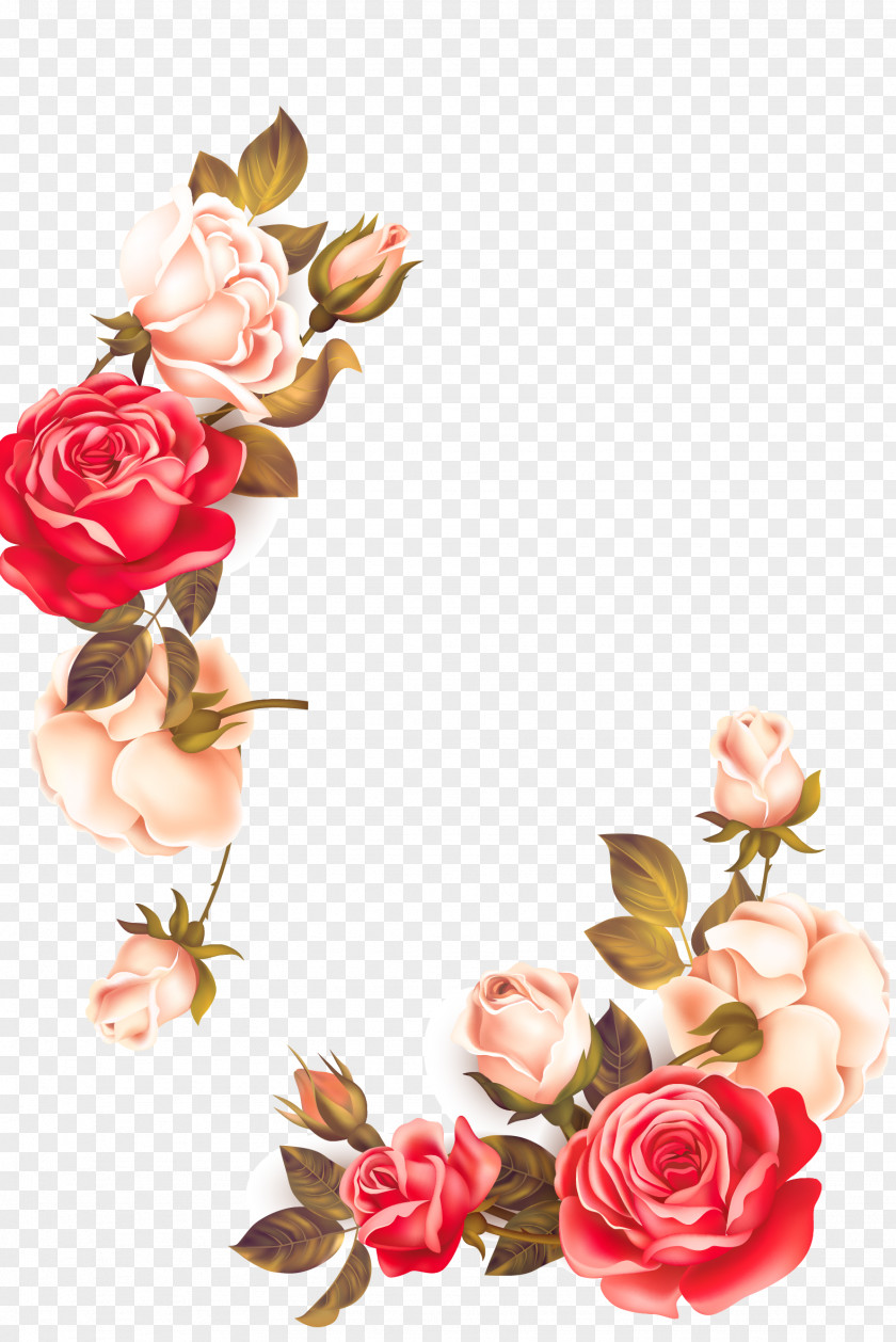 Flowers Vector Download Euclidean Flower Icon PNG