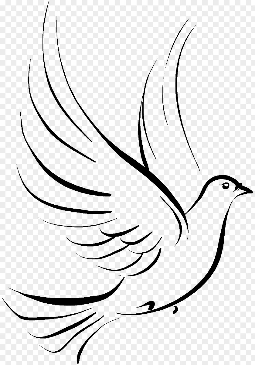 Funeral Columbidae Doves As Symbols Drawing Clip Art PNG