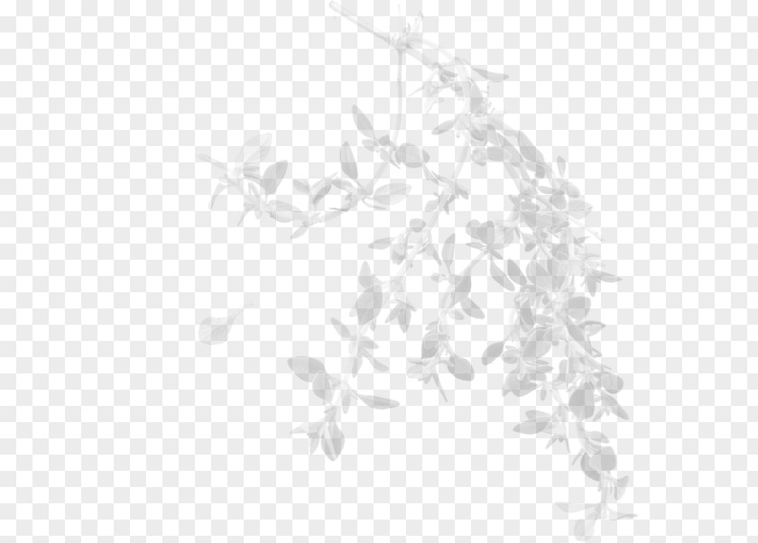 Leaf Twig White Plant Stem Pattern PNG