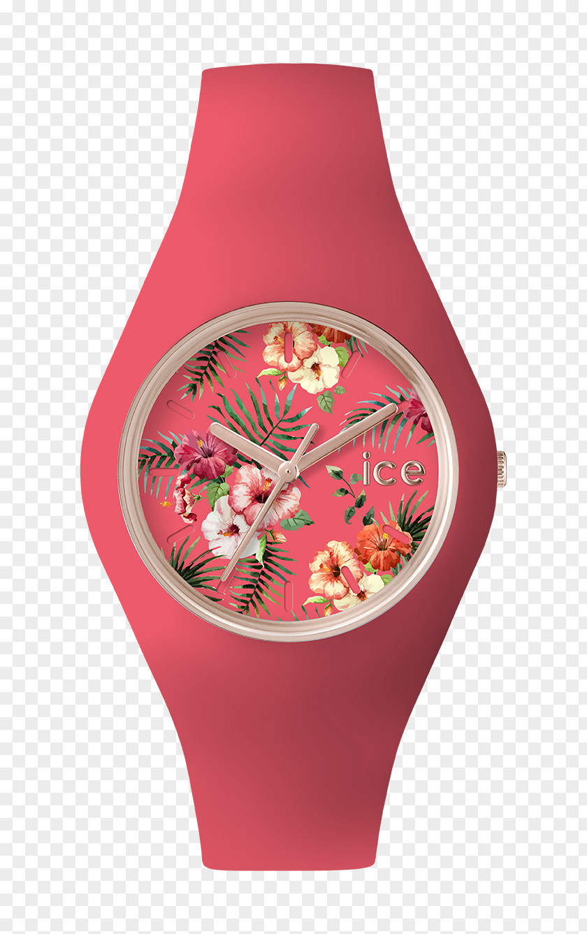 Watch Ice Floral Clock Flower PNG