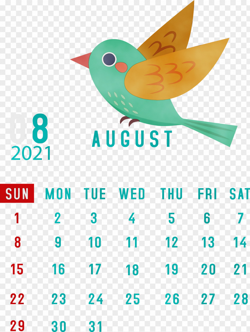 Birds Meter Beak Line Calendar System PNG
