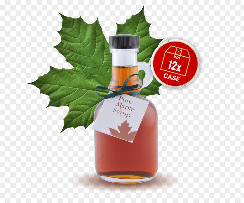 Bottle Maple Syrup Canadian Cuisine Pancake PNG