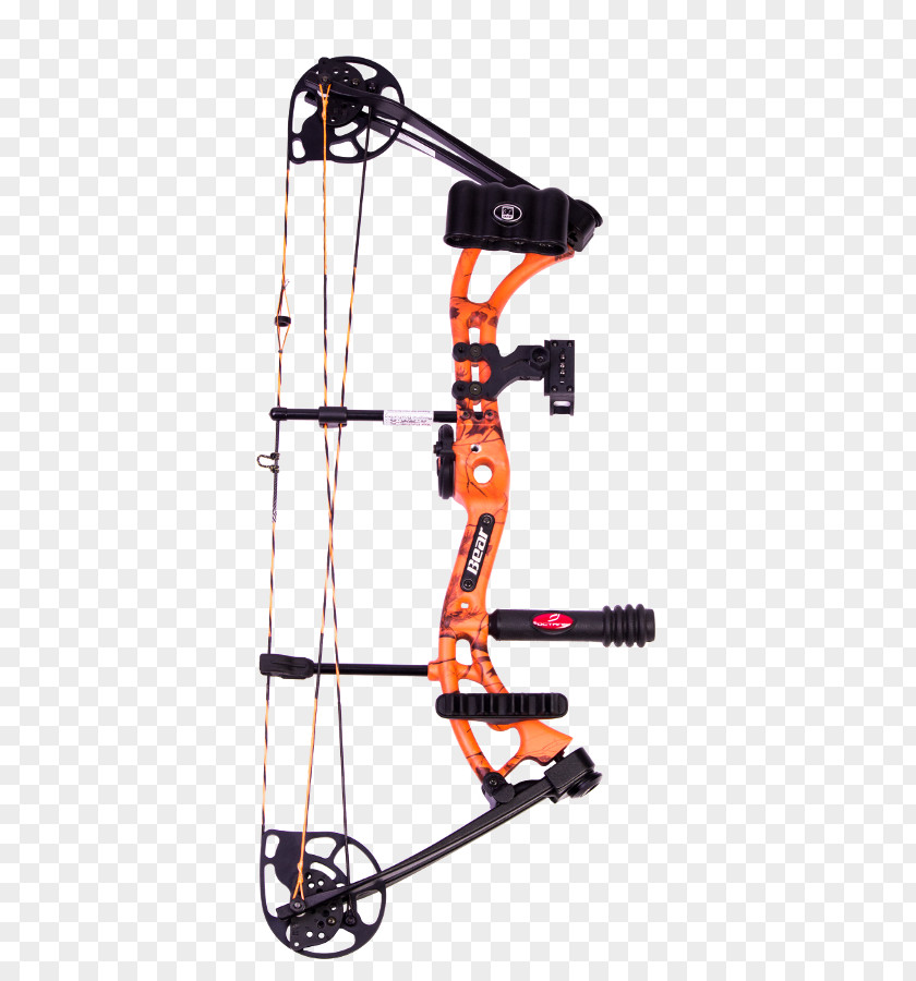 Bow Compound Bows Target Archery Recurve PNG
