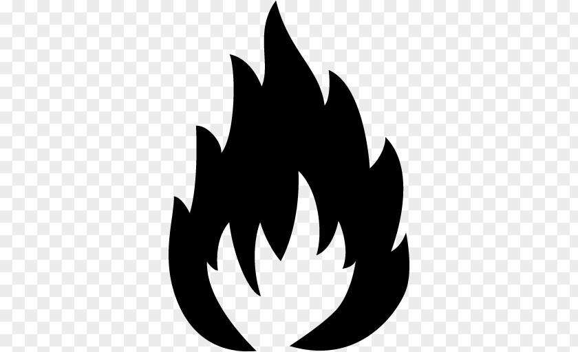 Combustibility And Flammability Flammable Liquid Fire Triangle PNG