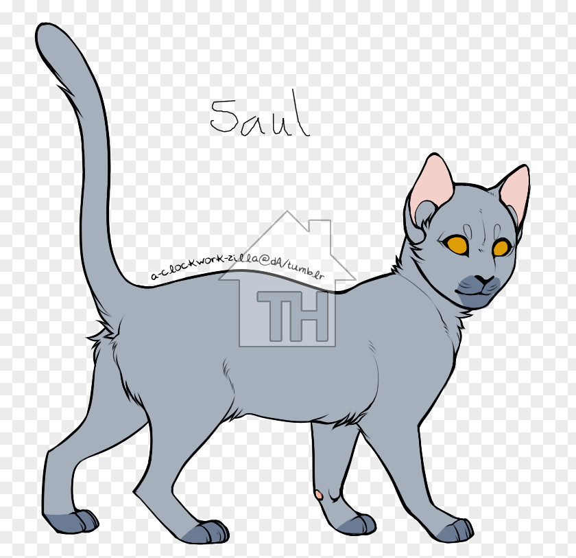 Saul Symbol Whiskers Korat Domestic Short-haired Cat Asia Clip Art PNG