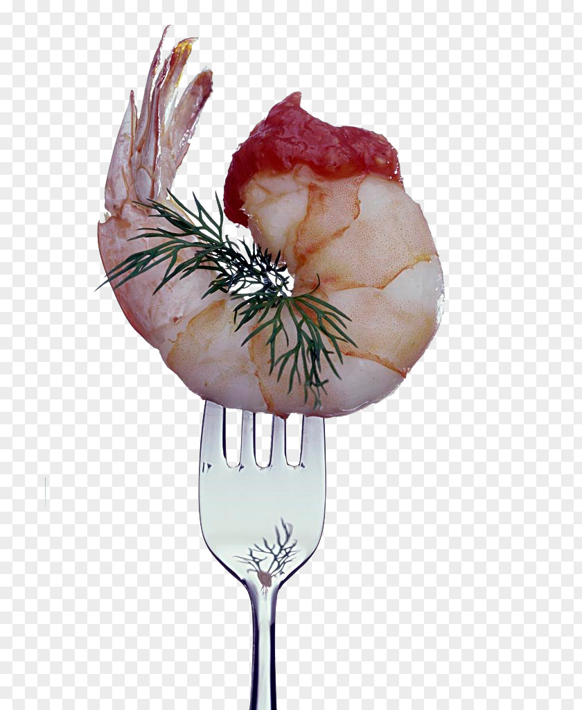 Shrimp Caridea Download PNG