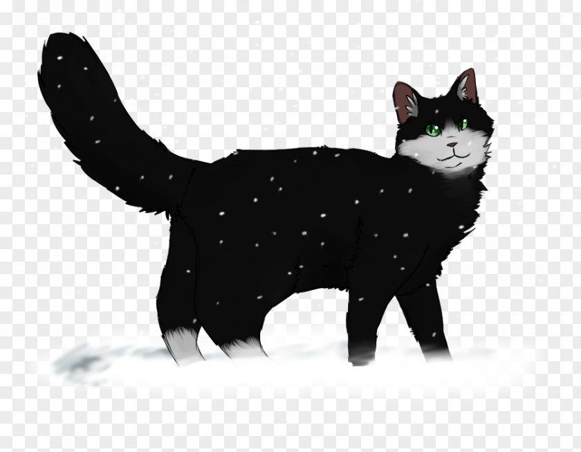 Winter Wonderland Manx Cat Black American Wirehair Kitten Domestic Short-haired PNG