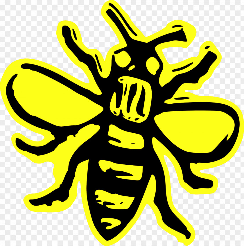 Bees Manchester Dodgeball Club Honey Bee Insect PNG