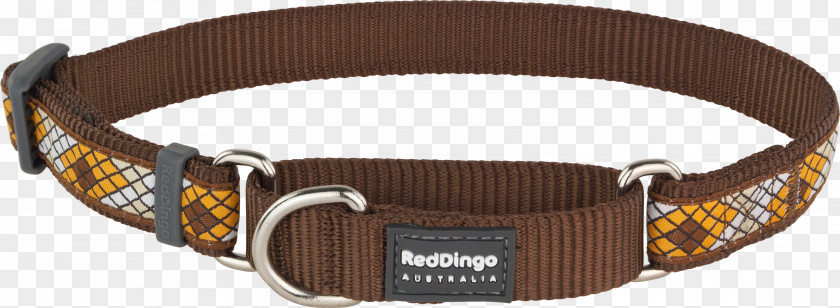 Dog Collars Collar Dingo Martingale PNG