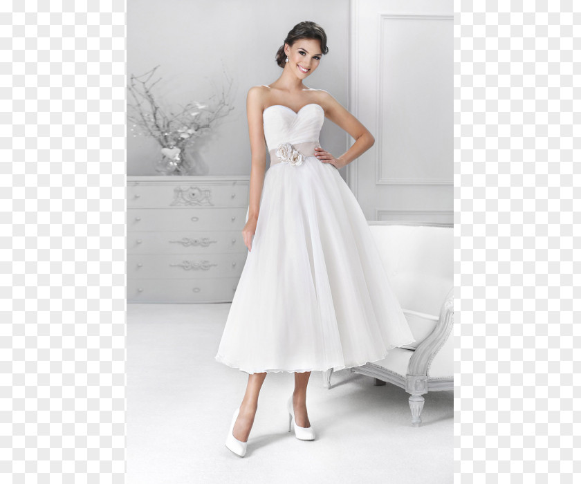 Dress Wedding Gown Bride PNG