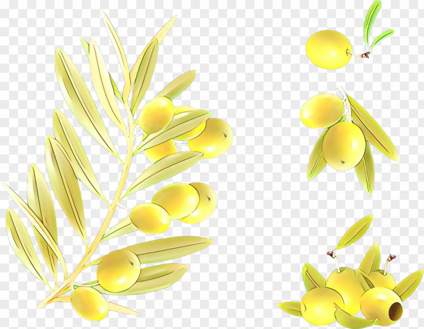 Flowering Plant Flower Yellow Clip Art PNG