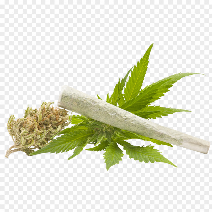 Green Herbs Medical Cannabis Cannabidiol Smoking Crime PNG