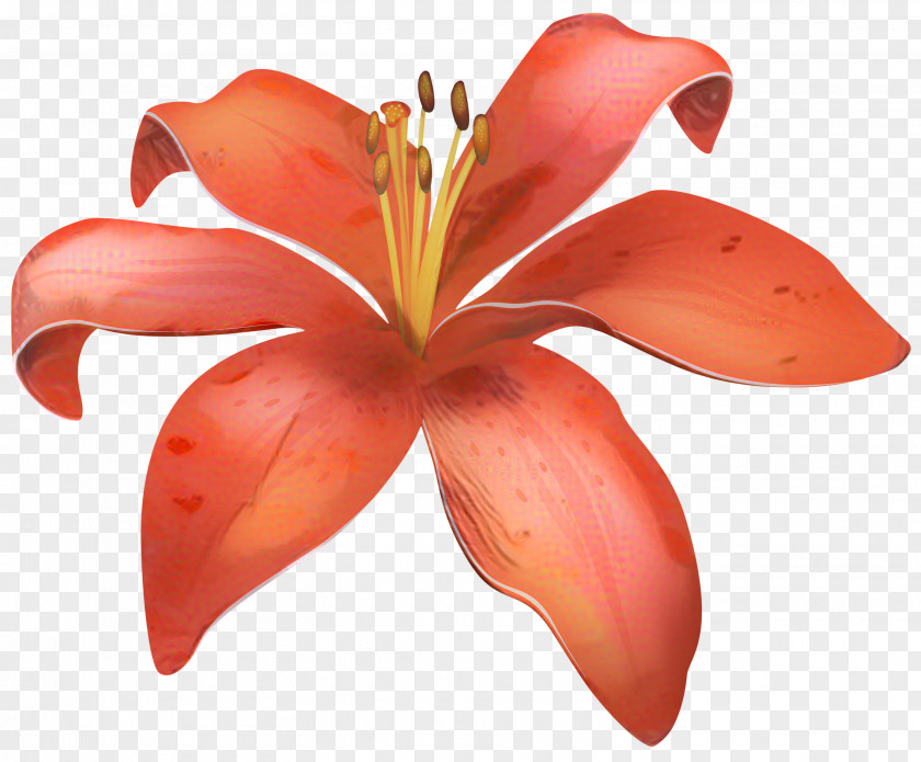 Madonna Lily Clip Art Easter Flower PNG