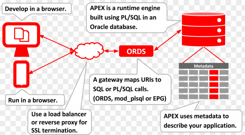 Oracle Database SQL Fundamentals Application Express Corporation PL/SQL PNG