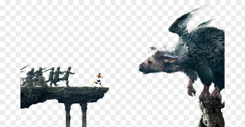 The Last Guardian Ico & Shadow Of Colossus Collection Video Game PNG