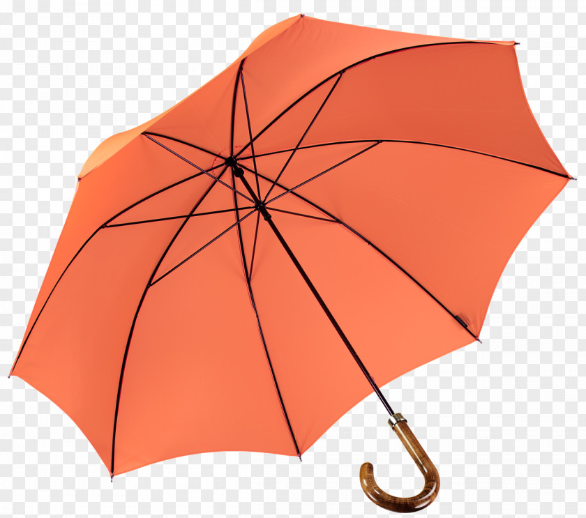 Umbrella Clip Art Image Vector Graphics PNG