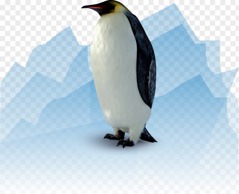 Vector Penguin Euclidean Vecteur Animation PNG