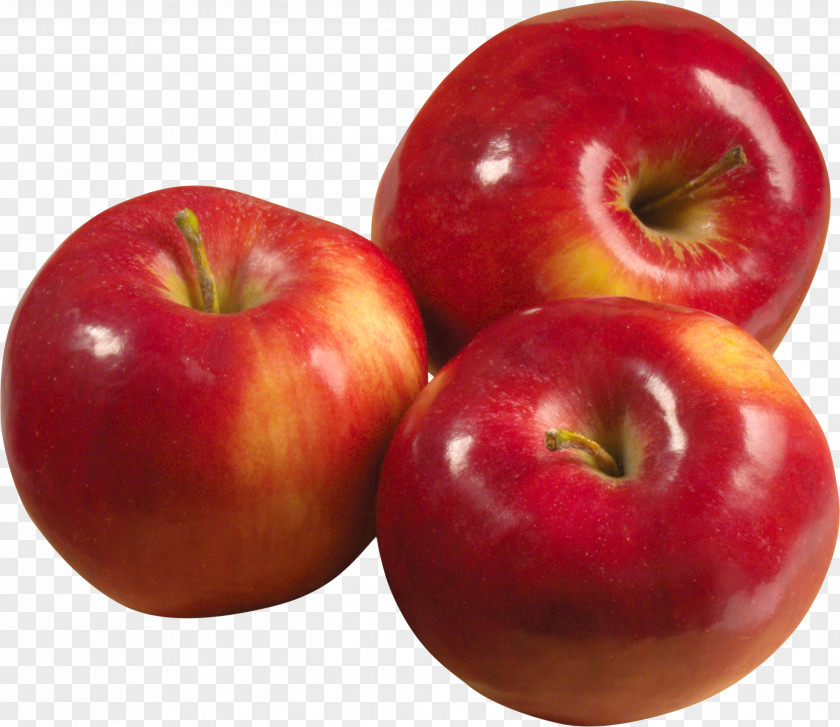 Apple Fruit Food Energy Cultivar PNG