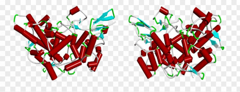 Cyclooxygenase Nonsteroidal Anti-inflammatory Drug Salicin Proteomics COX-2 Inhibitor PNG