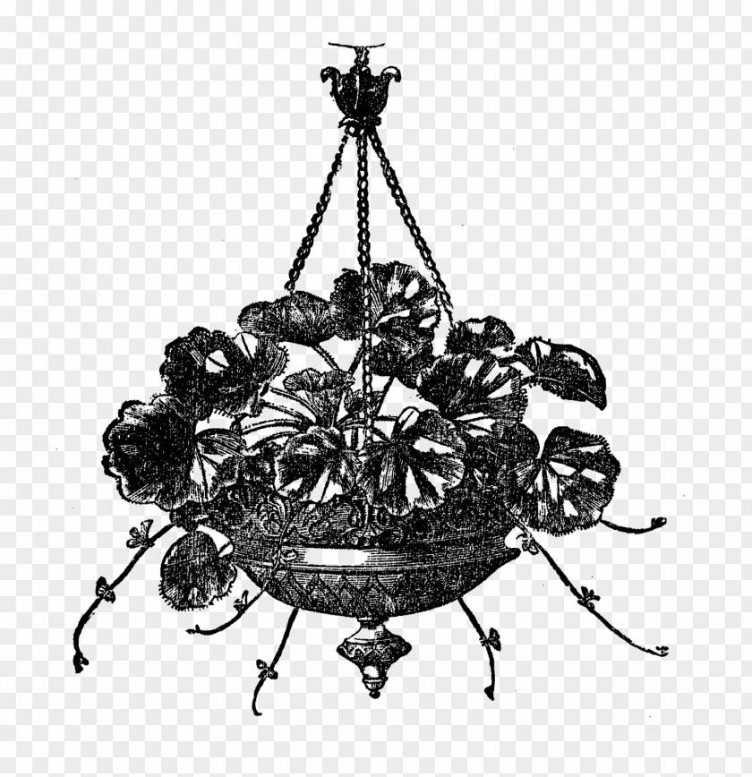 Hanging Flower Royalty-free Victorian Era Black And White Clip Art PNG