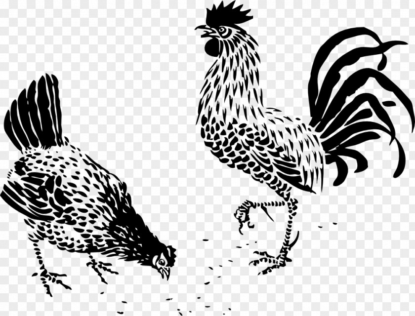 Hen Plymouth Rock Chicken Drawing Line Art Rooster PNG