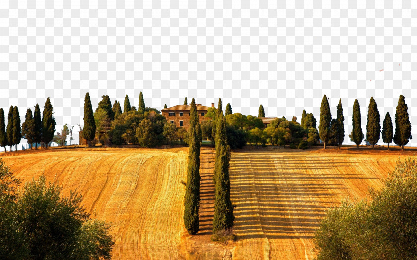 Italy Tuscany Three Prairie Siena Florence Restaurant Art PNG