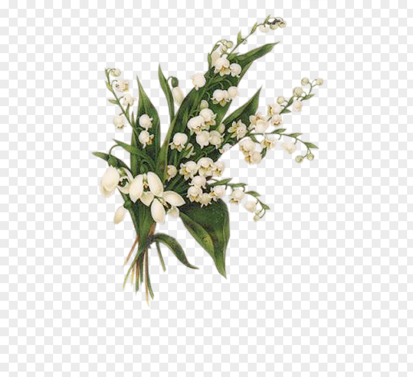 Lily Of The Valley Lyon 1 May Floral Design International Workers' Day PNG