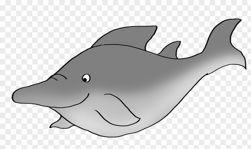 Shark Tucuxi Drawing Cartoon Clip Art PNG