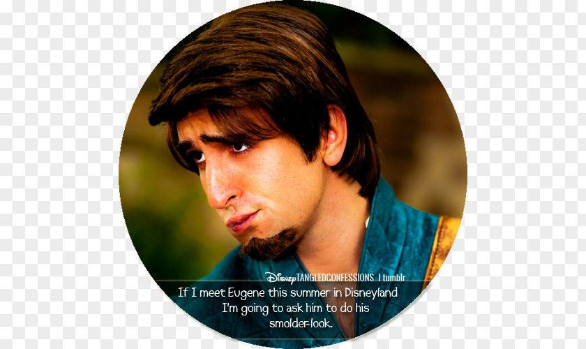 Tangled Confessions Flynn Rider Rapunzel Errol PNG