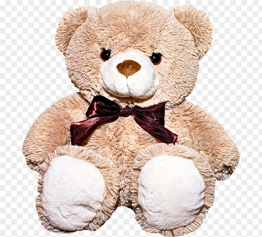 Bear Baby Toys Teddy PNG