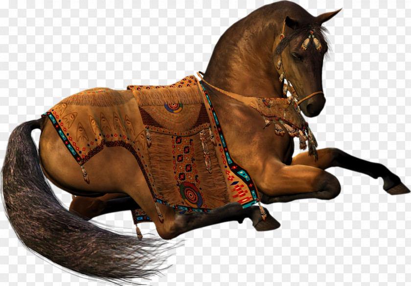 Cowboy Hat Mustang Stallion Animal Rein PNG