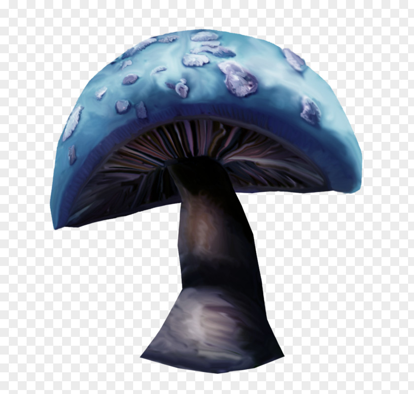 Mat Shiitake Blue Purple PNG